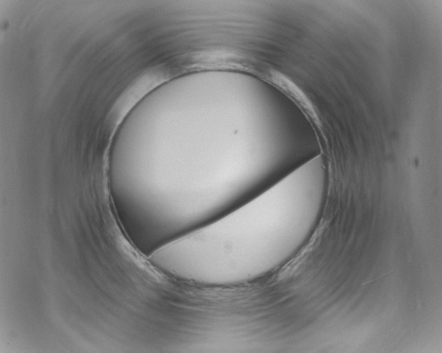 X0000073861386200608101017