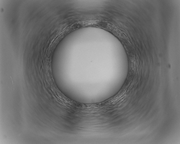X0000073861393200608101016
