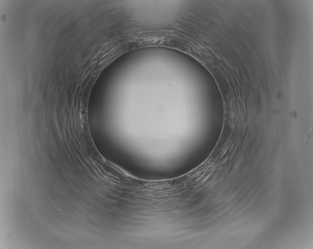 X0000073861394200608101016