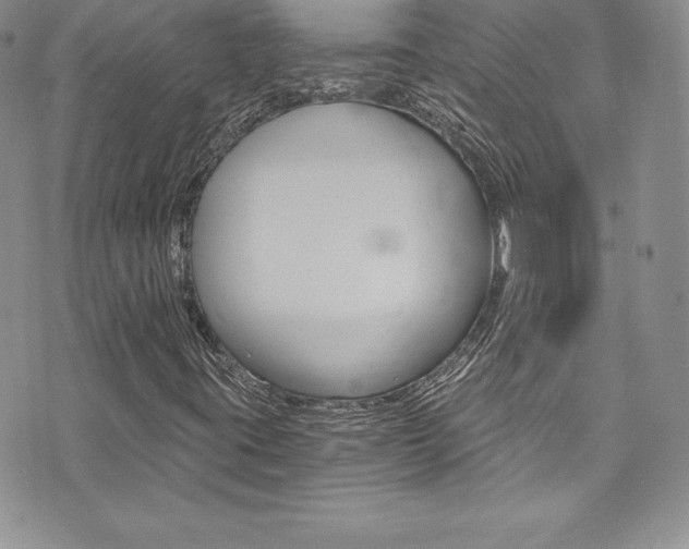 X0000073861395200608101016
