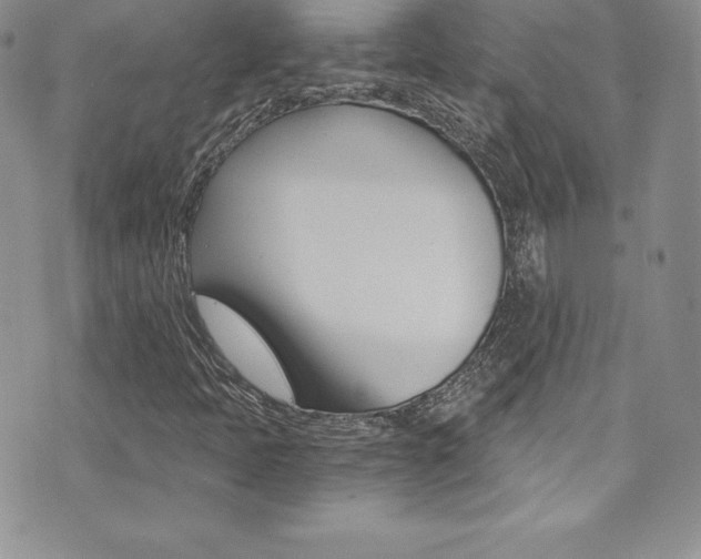 X0000073861397200608101016