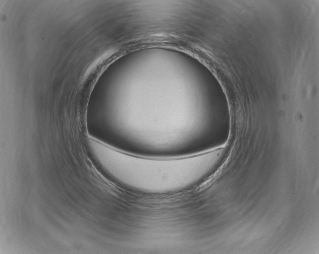 X0000073861402200608101016
