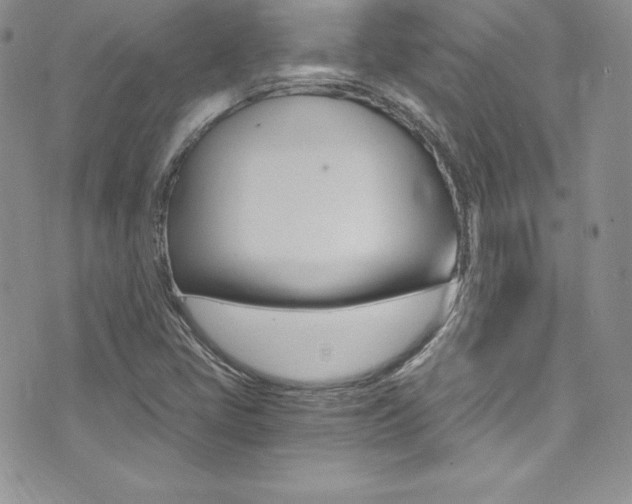 X0000073861405200608101016