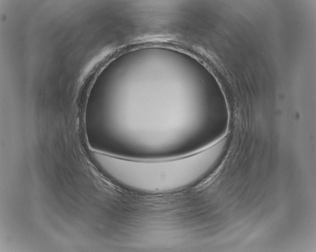 X0000073861406200608101016