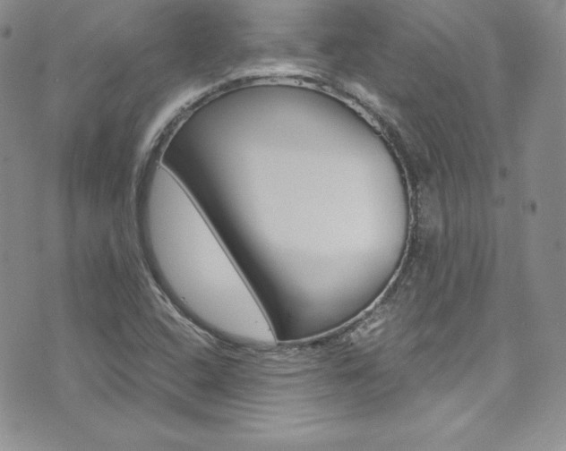 X0000073861408200608101016