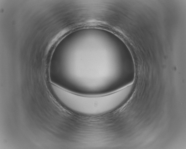 X0000073861410200608101016