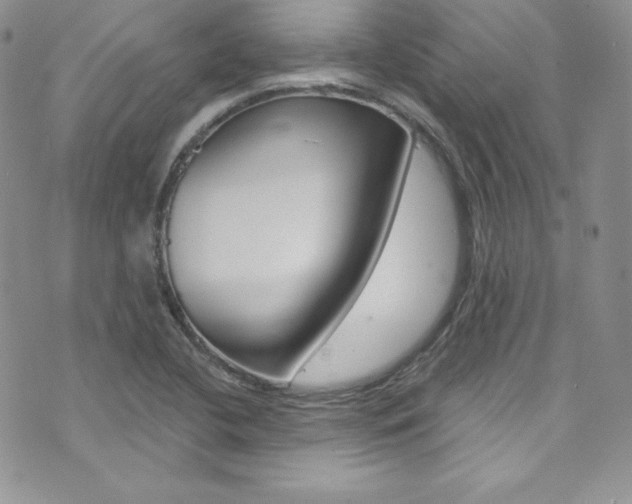 X0000073861412200608101016
