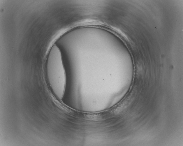 X0000073861413200608101016