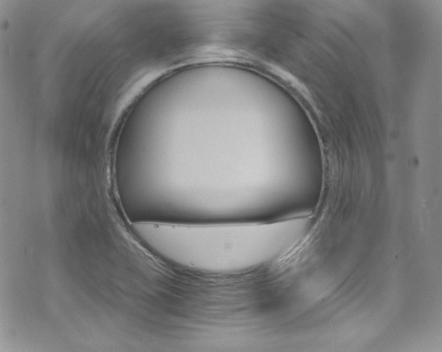 X0000073861415200608101016