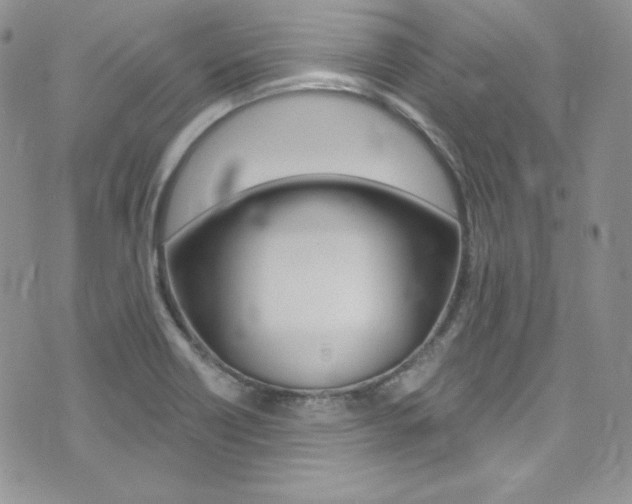X0000073861418200608101016