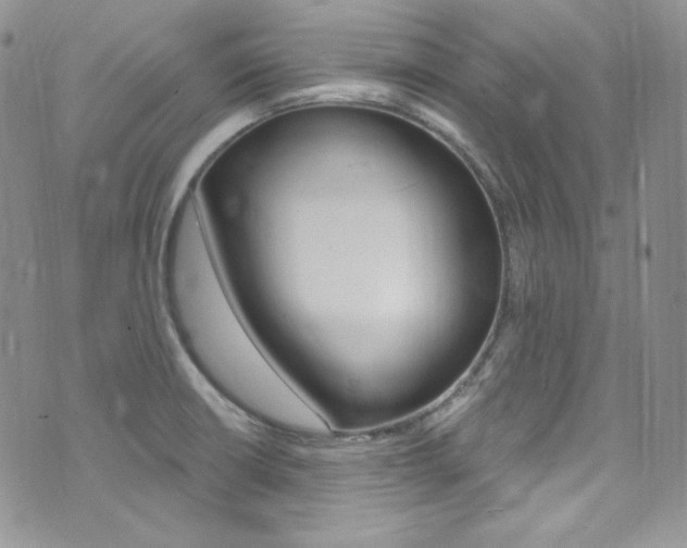 X0000073861426200608101016