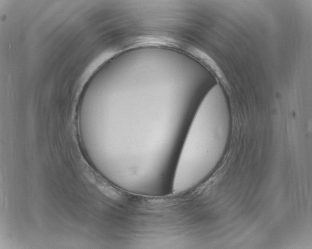 X0000073861427200608101016