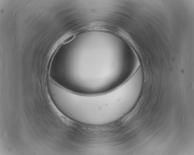 X0000073861434200608101016
