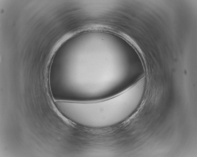 X0000073861437200608101016