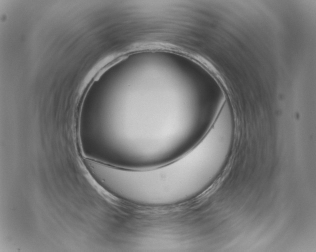 X0000073861438200608101016