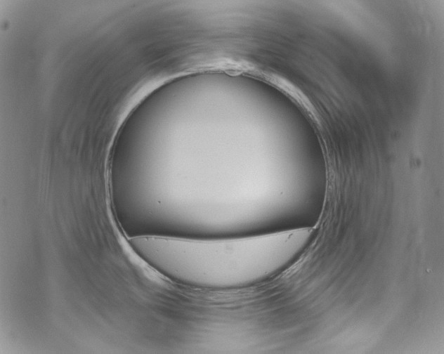 X0000073861439200608101016