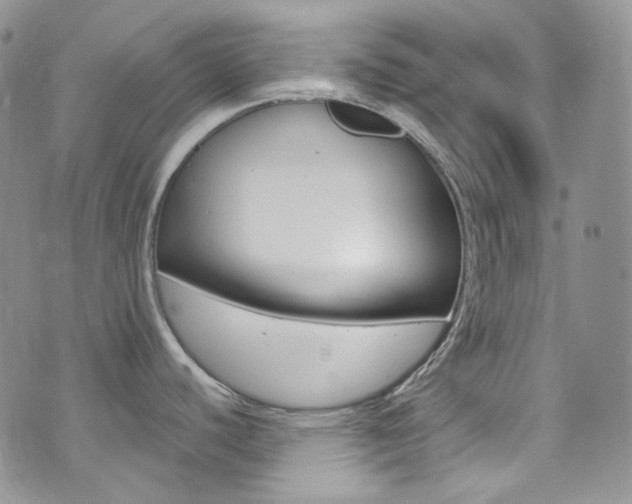 X0000073861440200608101017
