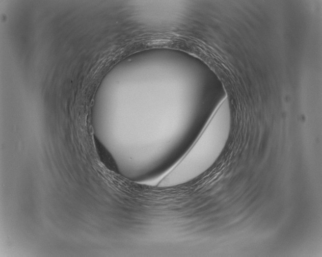 X0000073861441200608101016