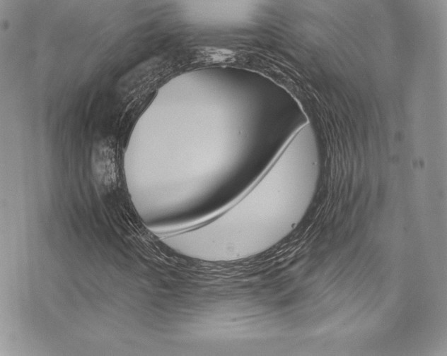 X0000073861442200608101016
