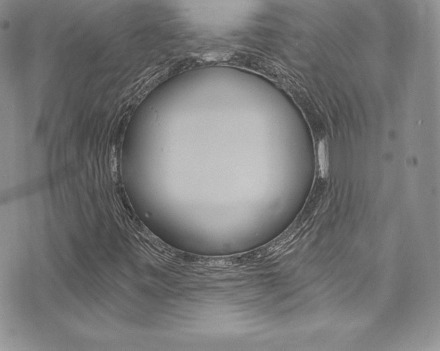 X0000073861443200608101016