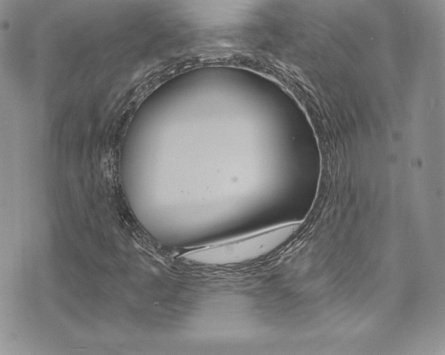 X0000073861445200608101016