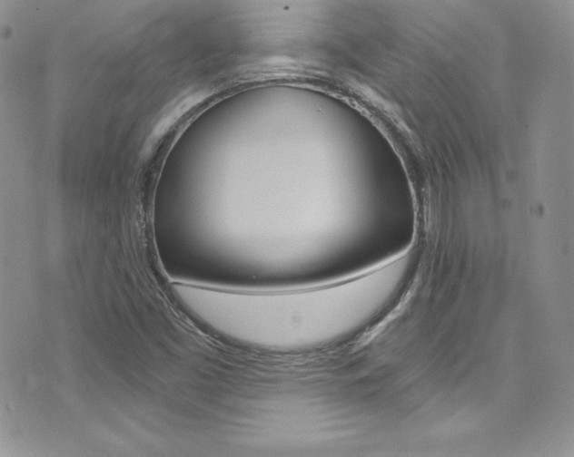 X0000073861453200608101016
