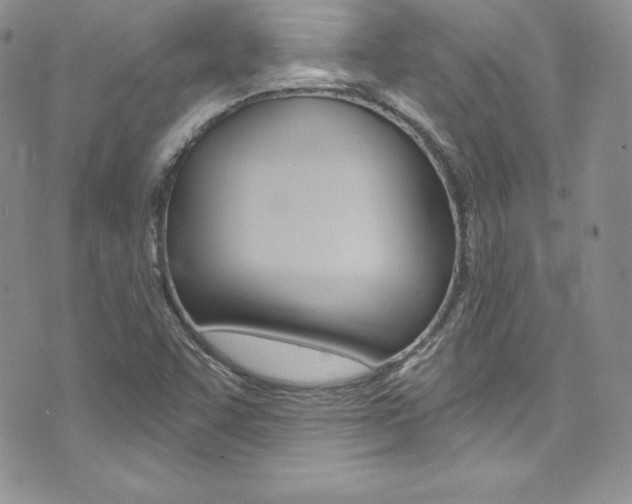 X0000073861455200608101016
