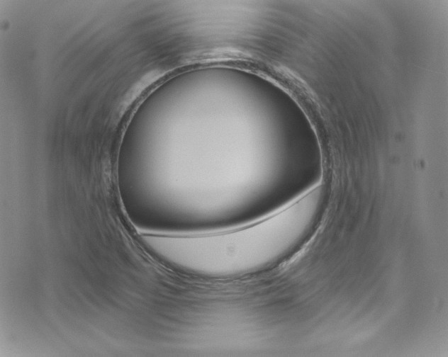 X0000073861457200608101015
