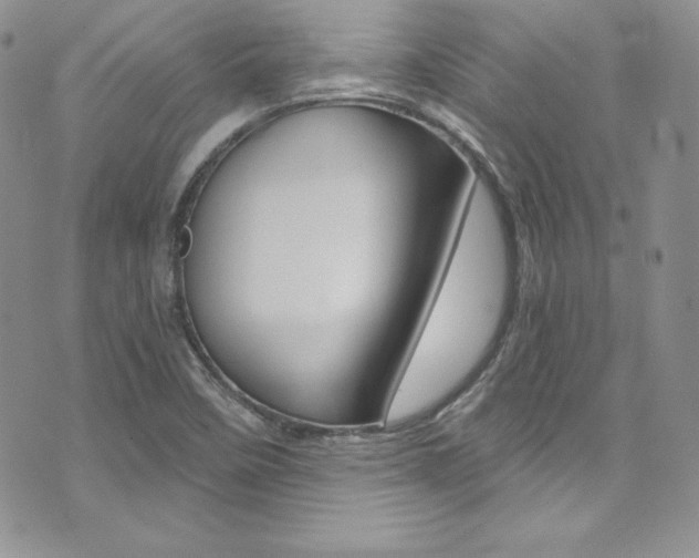 X0000073861458200608101015