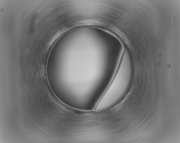 X0000073861465200608101015