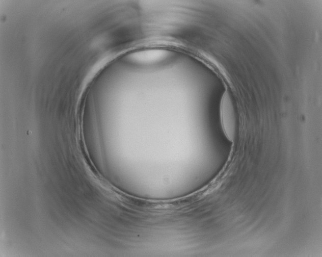 X0000073861467200608101015