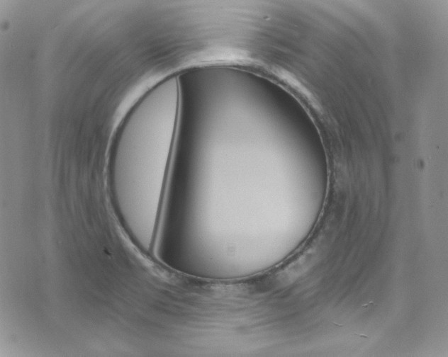 X0000073861469200608101015