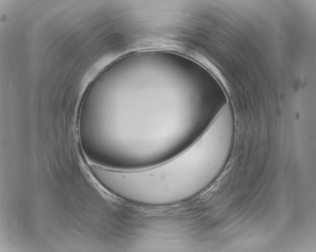 X0000073861485200608101015