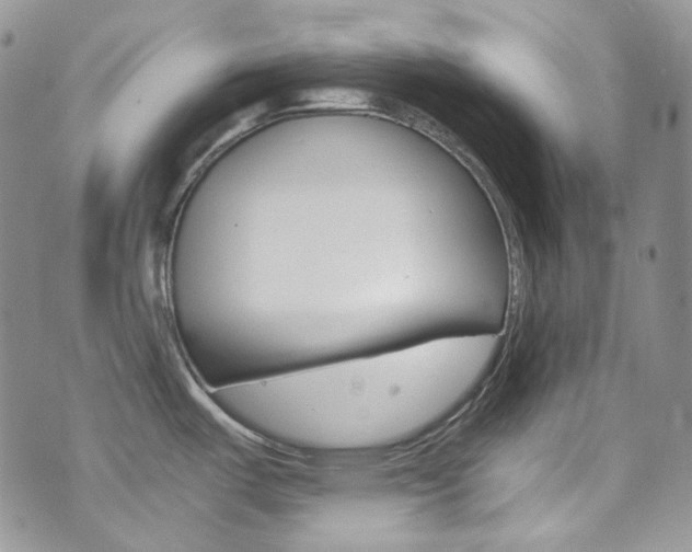 X0000073861487200608101015