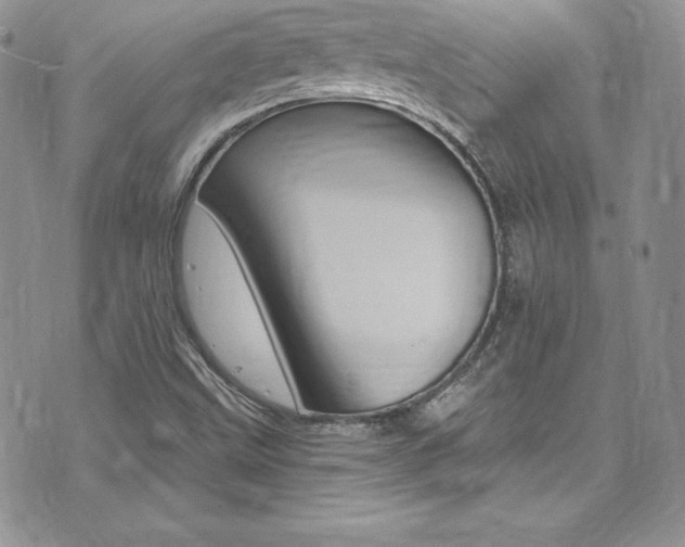 X0000073861499200608101014