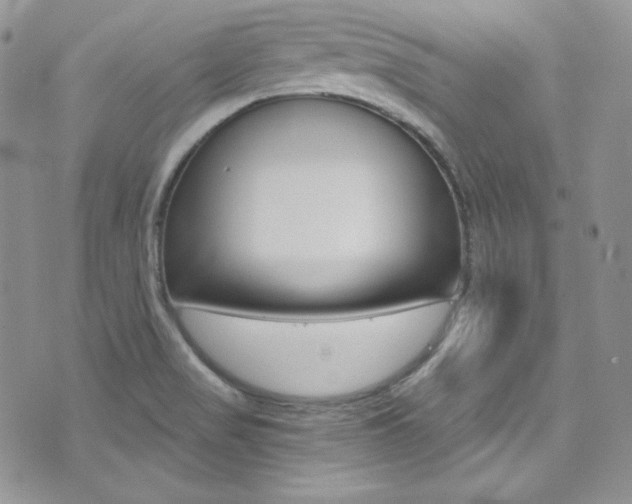 X0000073861517200608101015
