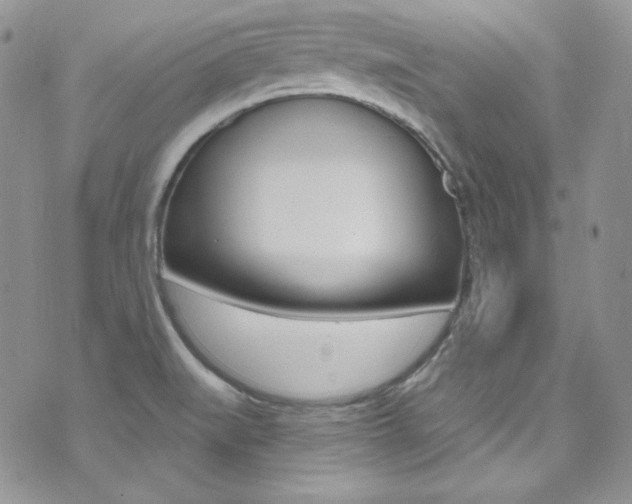 X0000073861519200608101015