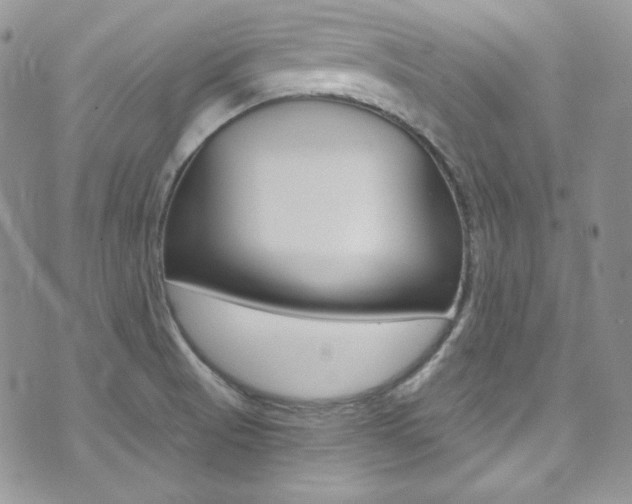 X0000073861521200608101015
