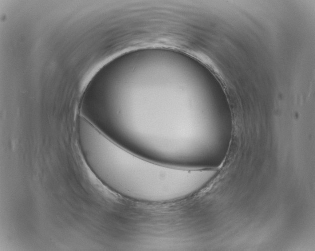X0000073861524200608101015