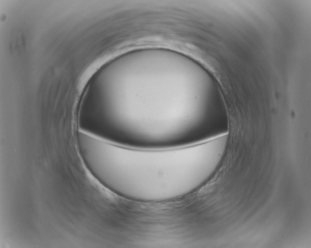 X0000073861527200608101015