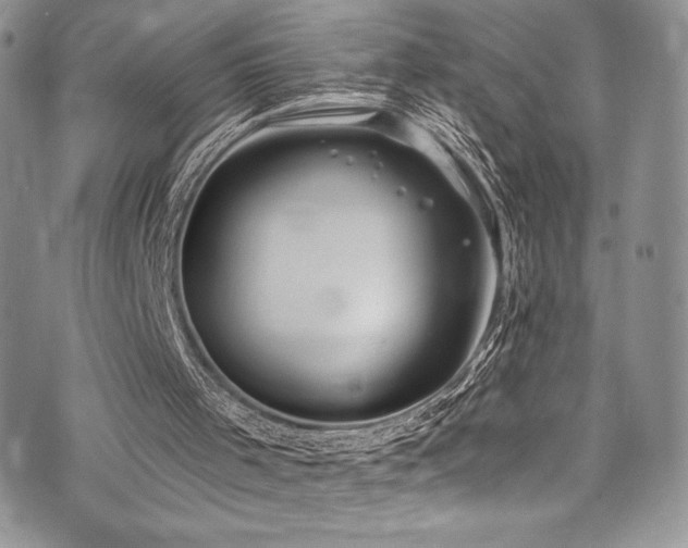 X0000073860001200608101302