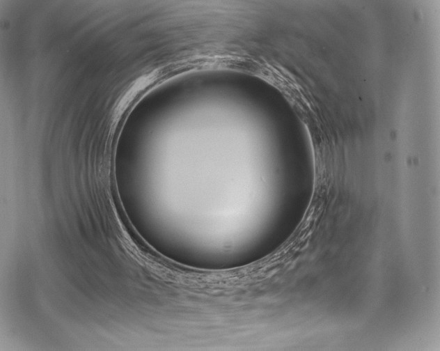 X0000073860003200608101302