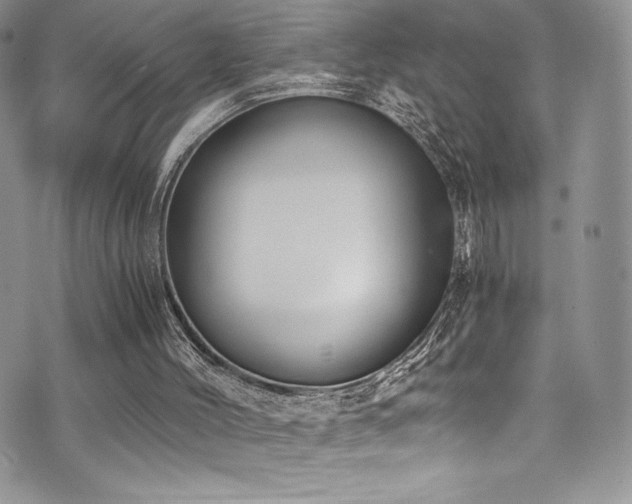 X0000073860004200608101302