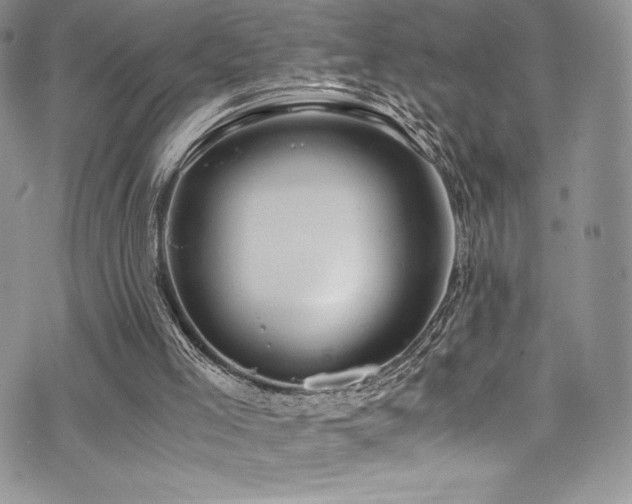 X0000073860005200608101302