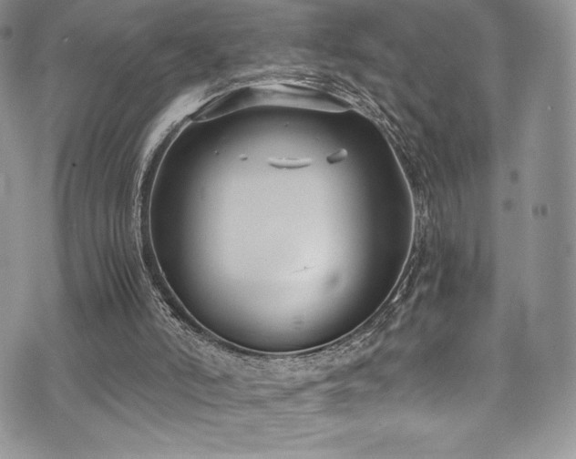 X0000073860006200608101302