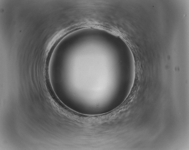 X0000073860007200608101302