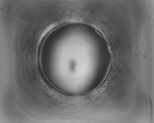 X0000073860008200608101302