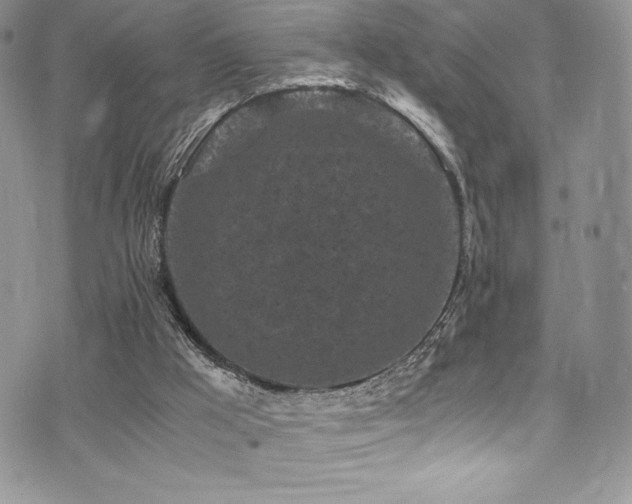 X0000073860009200608101302