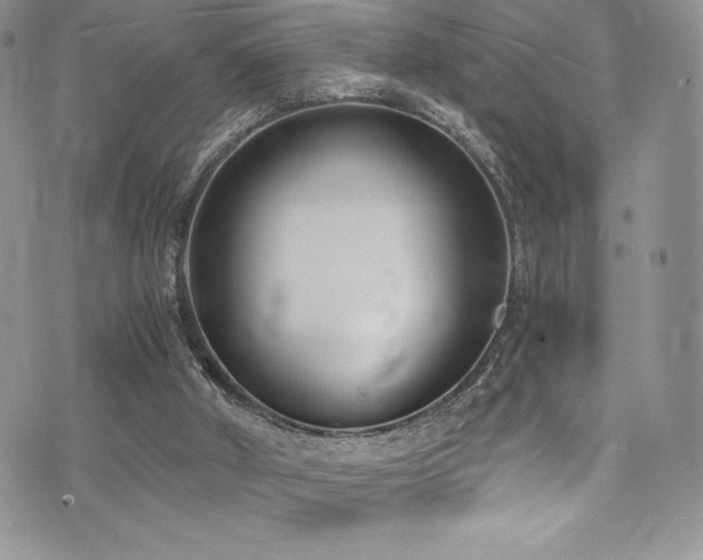 X0000073860010200608101302