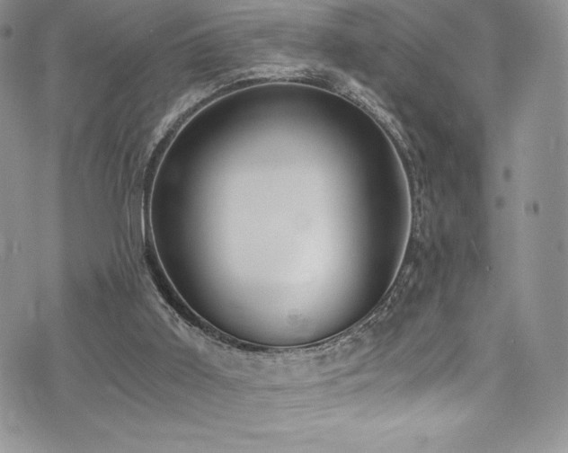 X0000073860011200608101302